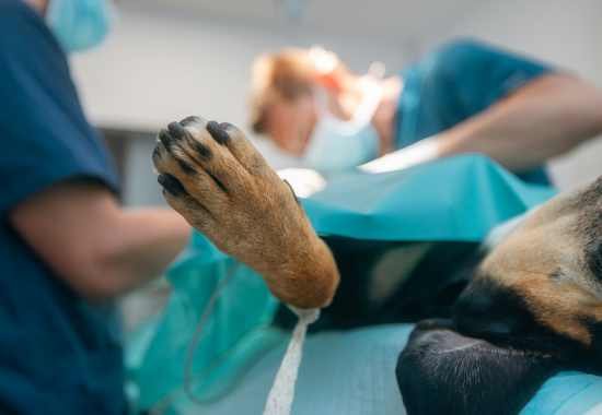 Emergency Surgeries